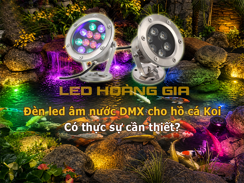 Đèn led âm nước DMX cho hồ cá Koi Có thực sự cần thiết