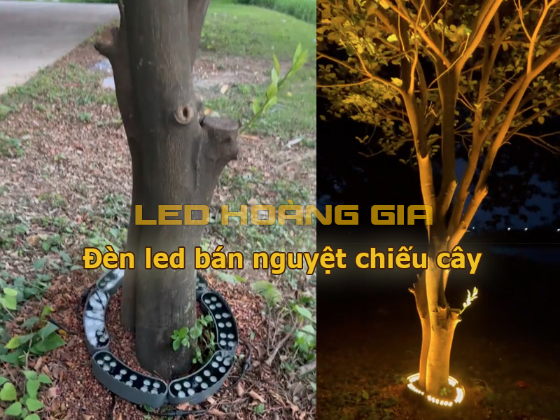 Đèn led bán nguyệt chiếu cây