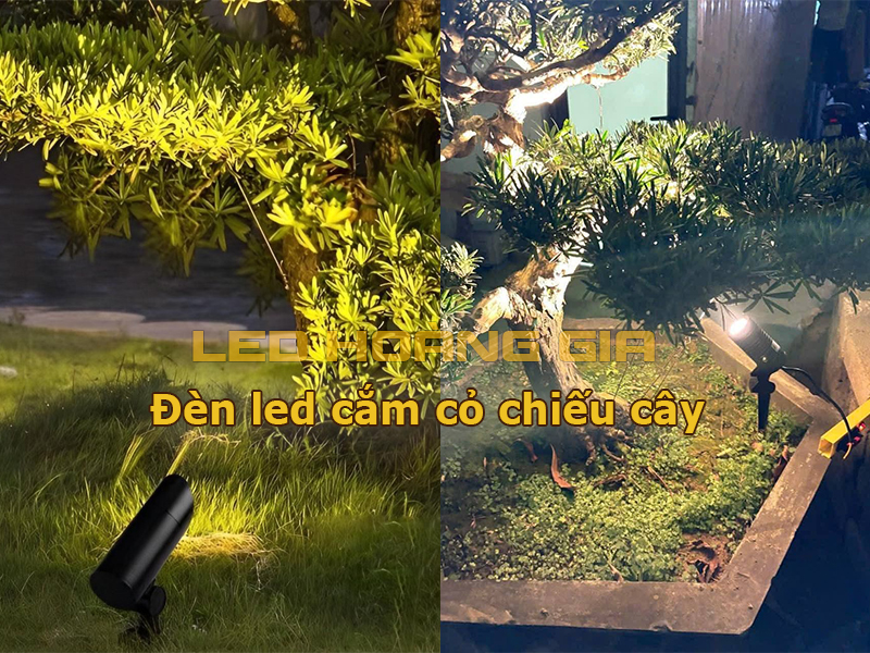 Đèn led cắm cỏ chiếu cây