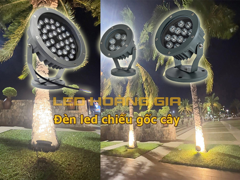 Lắp đèn spotlight chiếu gốc cây