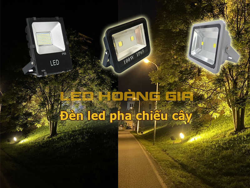 Đèn pha led chiếu cây lớn