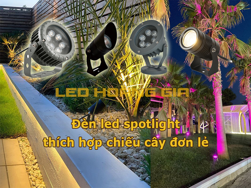 Đèn led spotlight thích hợp chiếu cây đơn lẻ