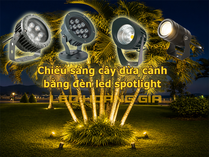 Lắp đèn led spotlight chiếu cây dừa cảnh