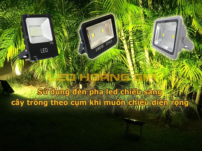 Lắp đèn pha led chiếu cây trồng theo cụm