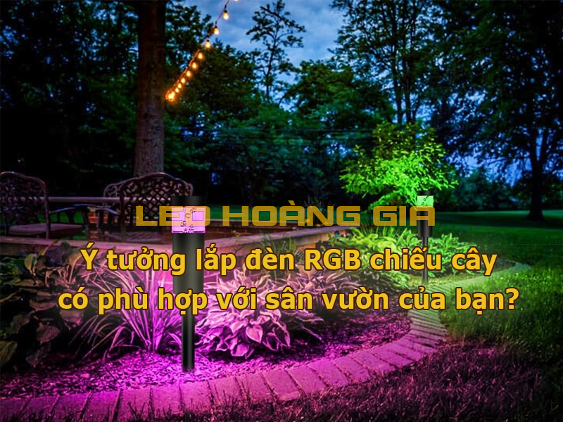 Ý tưởng lắp đèn RGB chiếu cây có phù hợp với sân vườn của bạn?