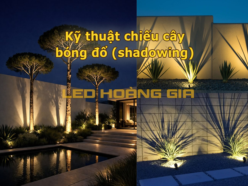 Kỹ thuật chiếu bóng đổ (shadowing)