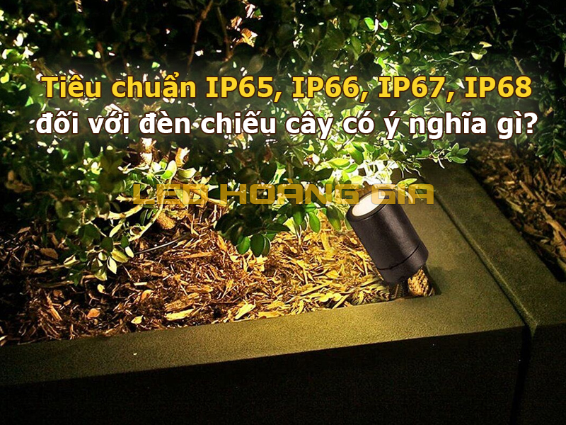 Tiêu chuẩn IP65, IP66, IP67, IP68 đối với đèn chiếu cây và cách lựa chọn