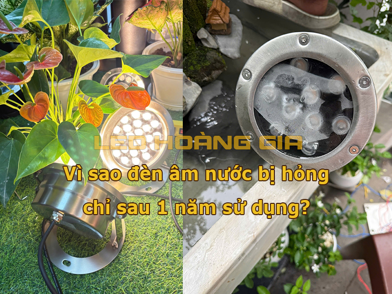 Vì sao nhiều đèn âm nước hỏng chỉ sau 1 năm sử dụng