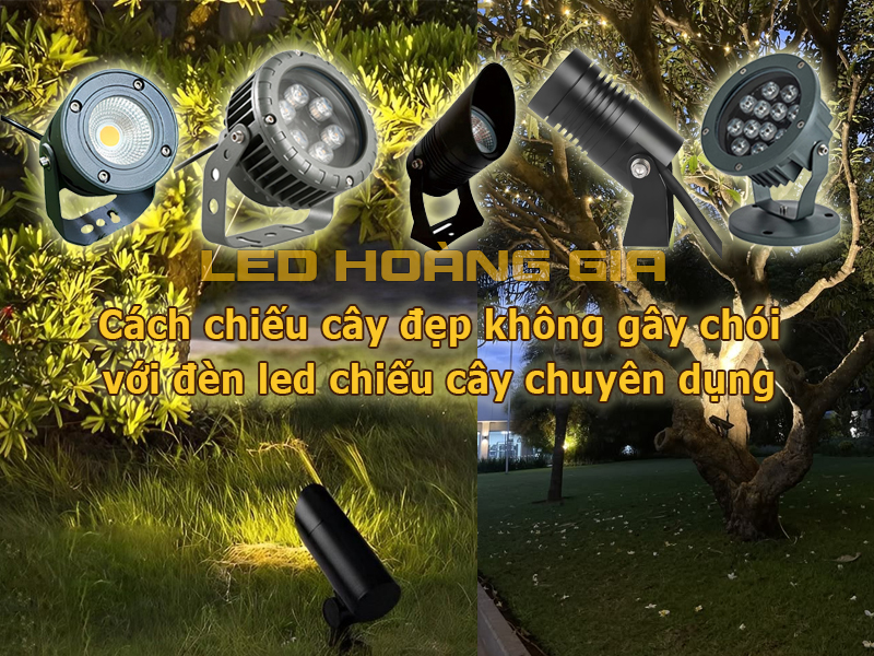 Cách chiếu cây đẹp không gây chói với đèn led chiếu cây chuyên dụng