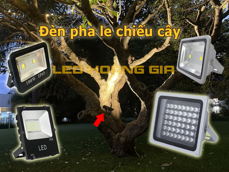 Đèn pha led chiếu cây lớn