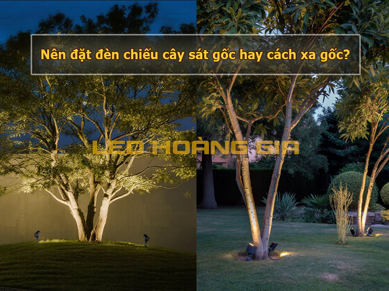 Nên đặt đèn chiếu cây sát gốc hay cách xa gốc?