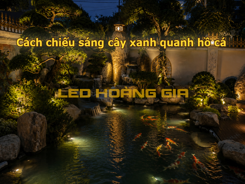 Cách chiếu sáng cây xanh quanh hồ cá