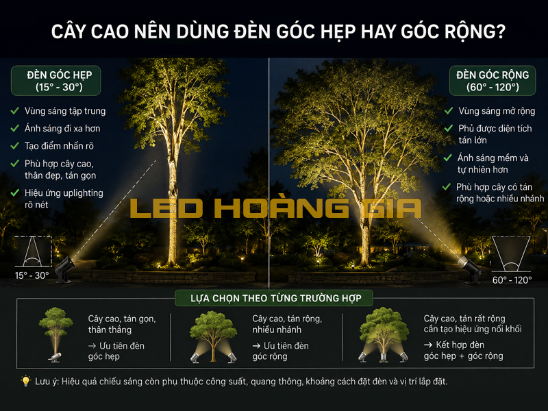 Cây cao nên dùng đèn góc hẹp hay góc rộng?