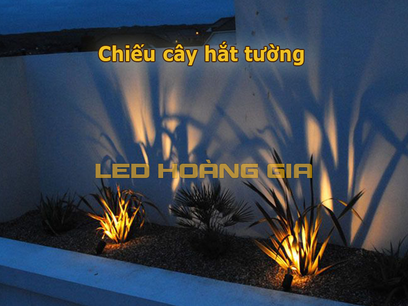 Lắp đèn chiếu cây hắt tường