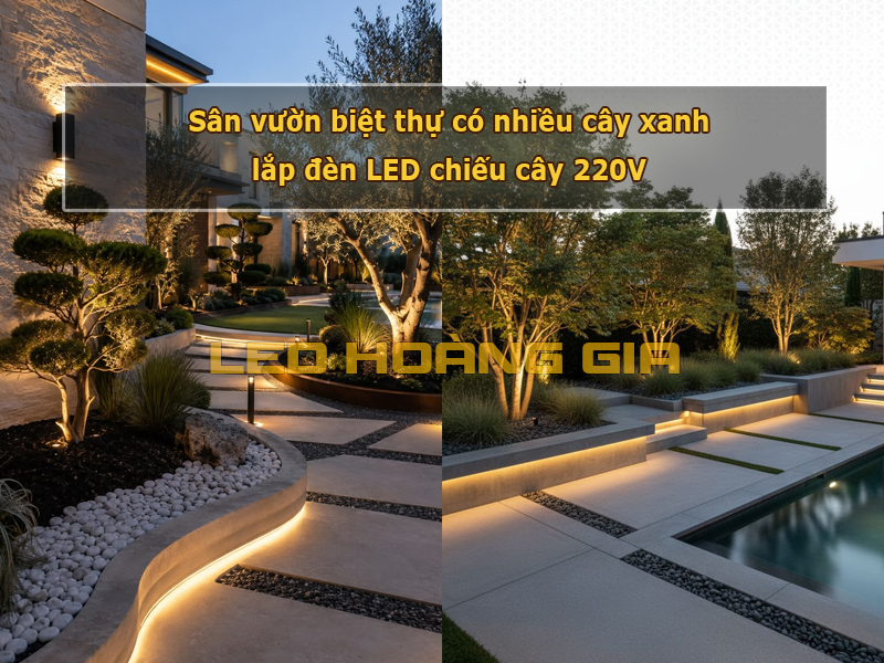 Lắp đèn chiếu cây sân vườn 220V