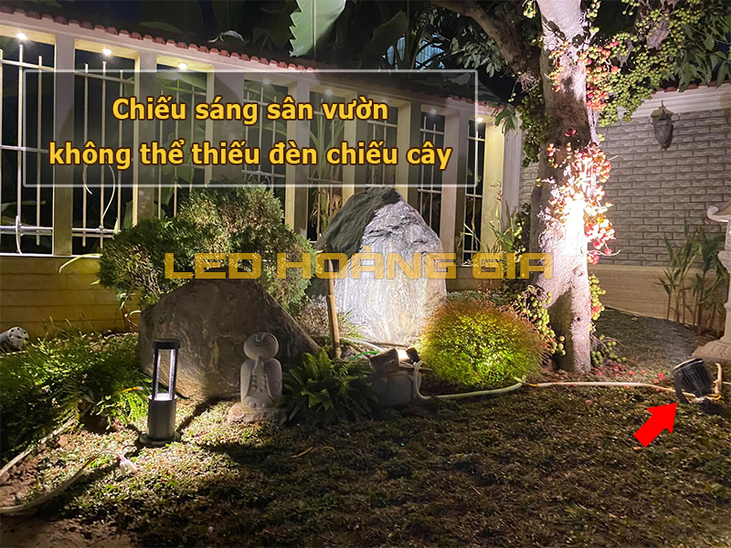 Lắp đèn chiếu cây sân vườn trước nhà