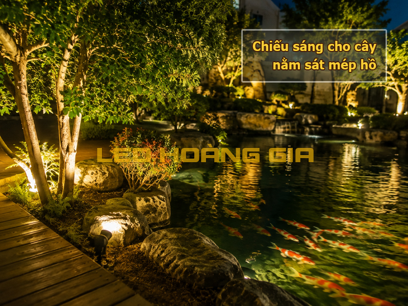 Chiếu sáng cho cây nằm sát mép hồ