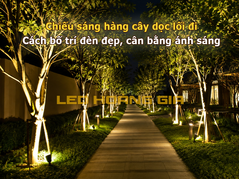 Chiếu sáng hàng cây dọc lối đi