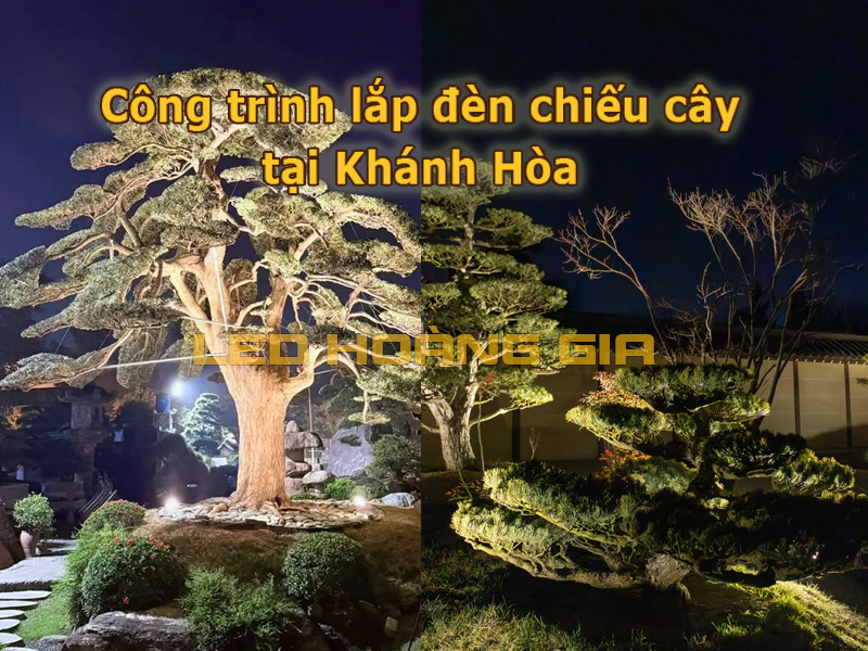 Công trình lắp đèn led chiếu cây tại Khánh Hòa