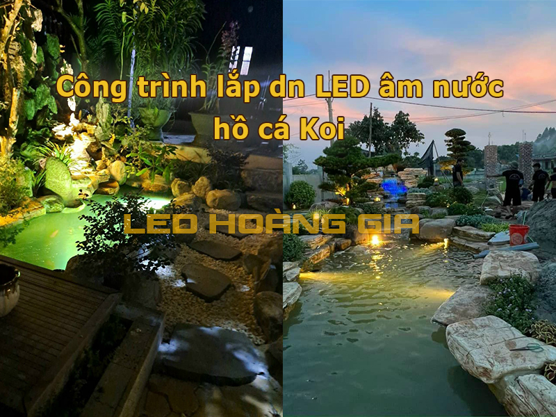 Công trình lắp đèn led âm nước cho hồ cá Koi