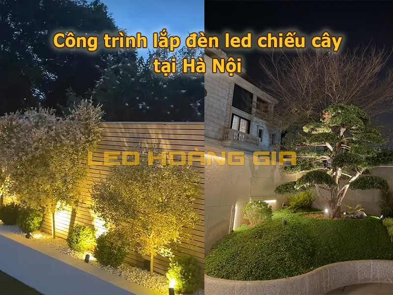 Công trình lắp đèn led chiếu cây tại Hà Nội