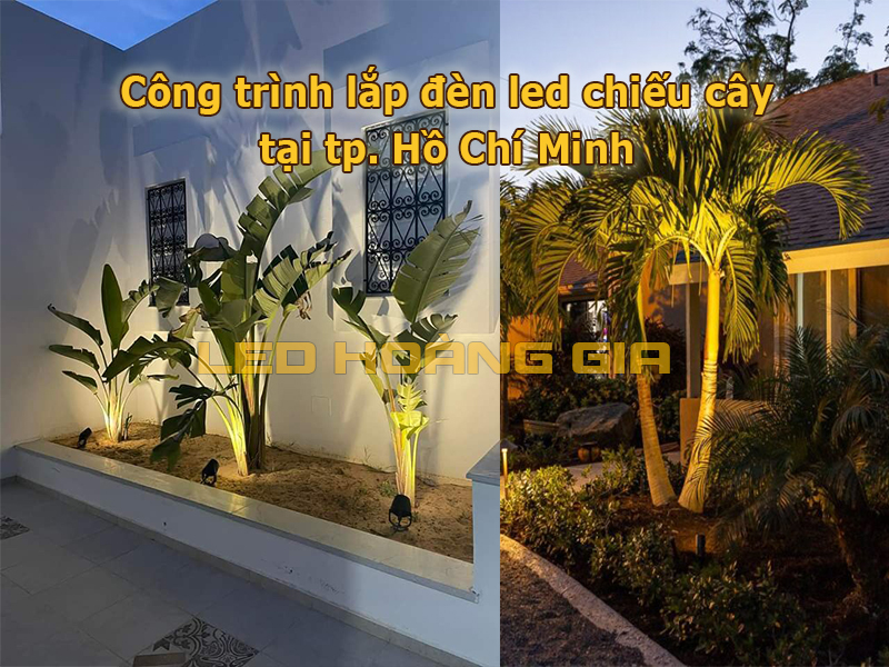 Công trình lắp đèn led chiếu cây tại Hồ Chí Minh