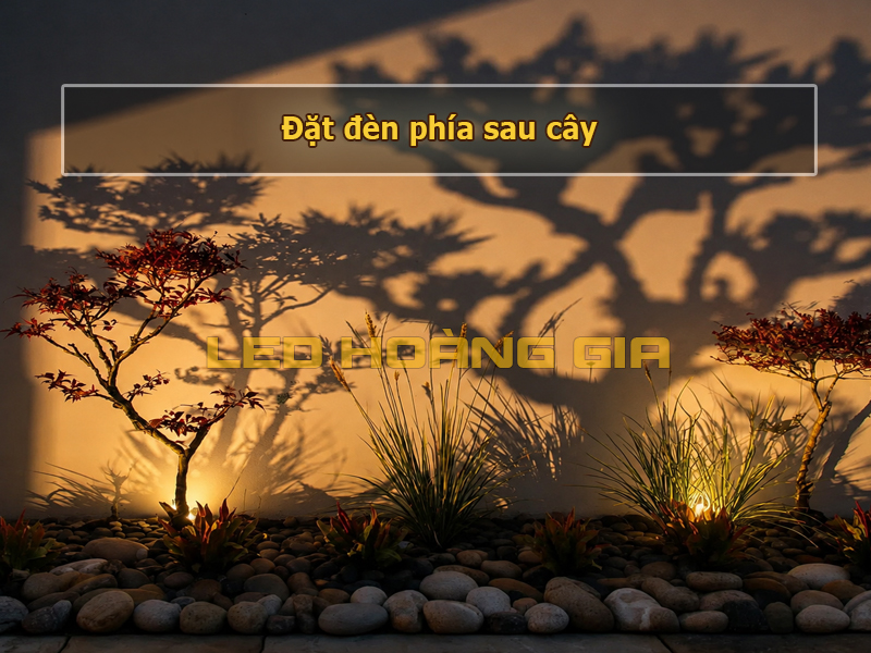Đặt đèn phía sau cây