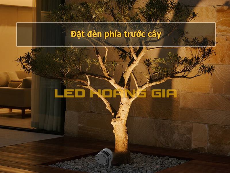 Đặt đèn phía trước cây