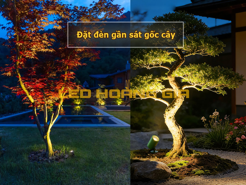 Đặt đèn sát gốc cây