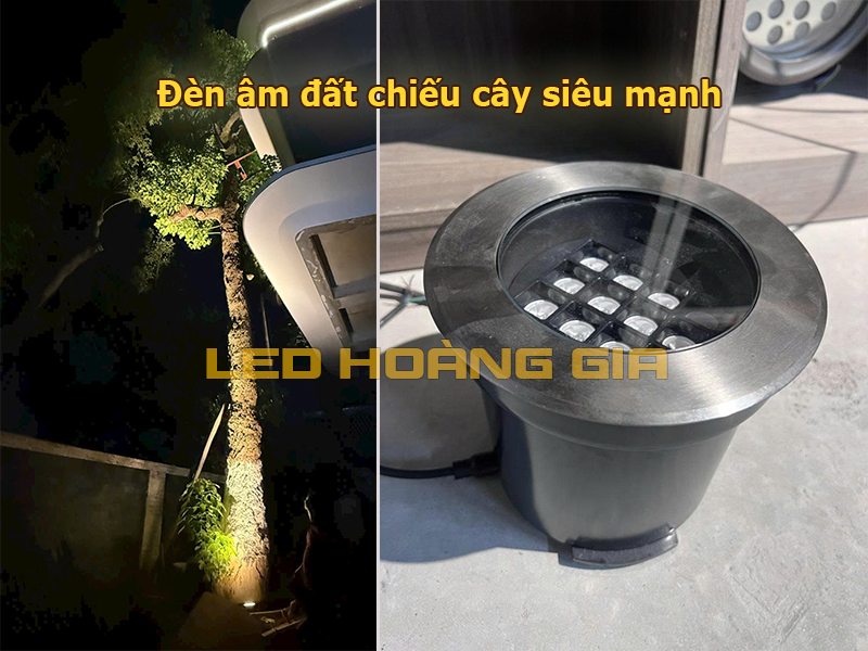 Đèn led chiếu cây cao