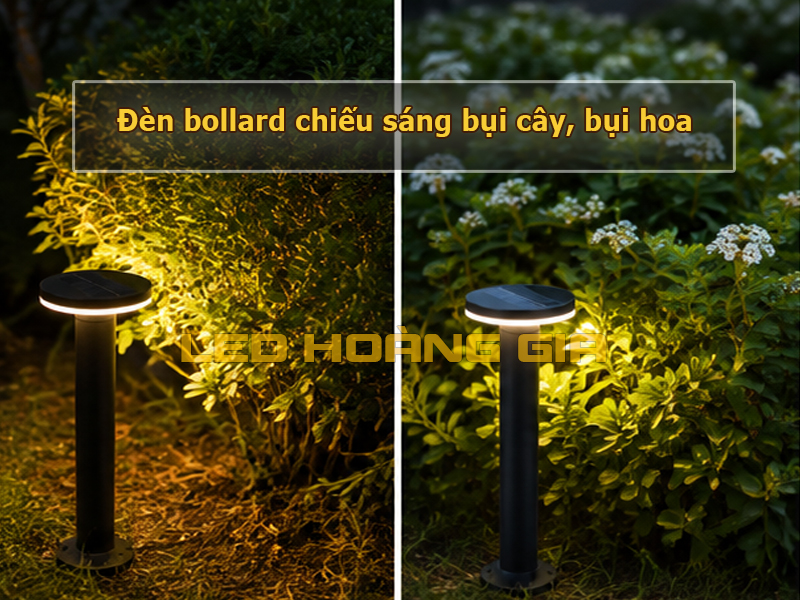 Đèn bollard chiếu cây