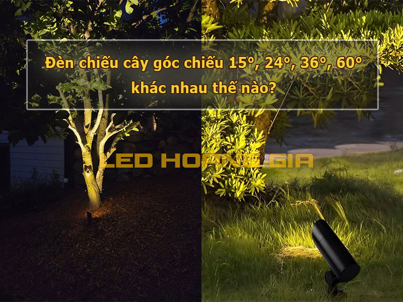 Đèn chiếu cây góc chiếu 15°, 24°, 36°, 60° khác nhau thế nào?
