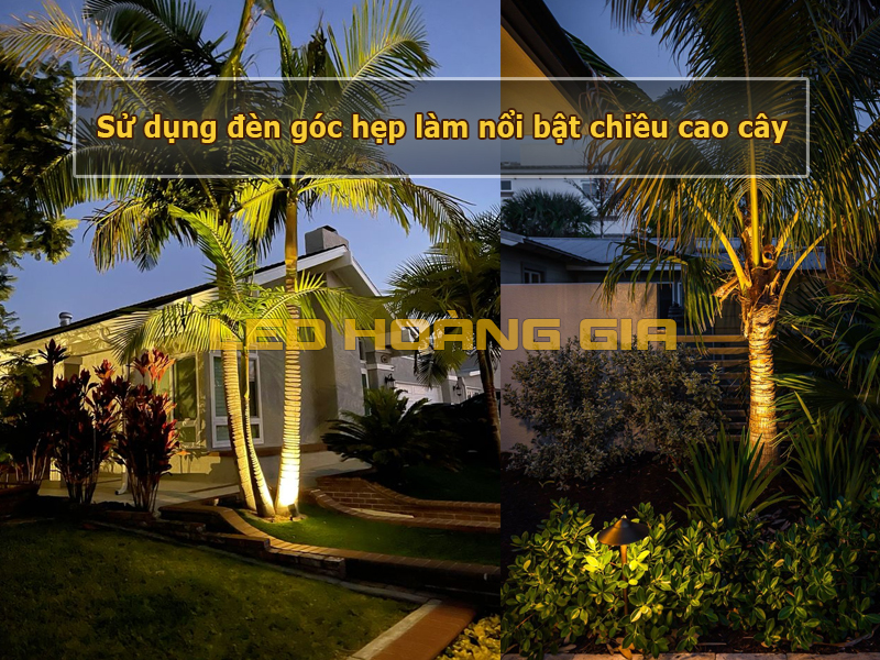 Sử dụng đèn led chiếu cây góc hẹp làm nổi bật chiều cao cây