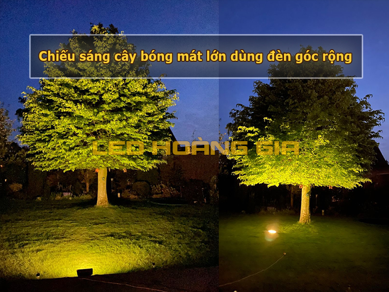Sử dụng đèn góc rộng chiếu cây bóng mát