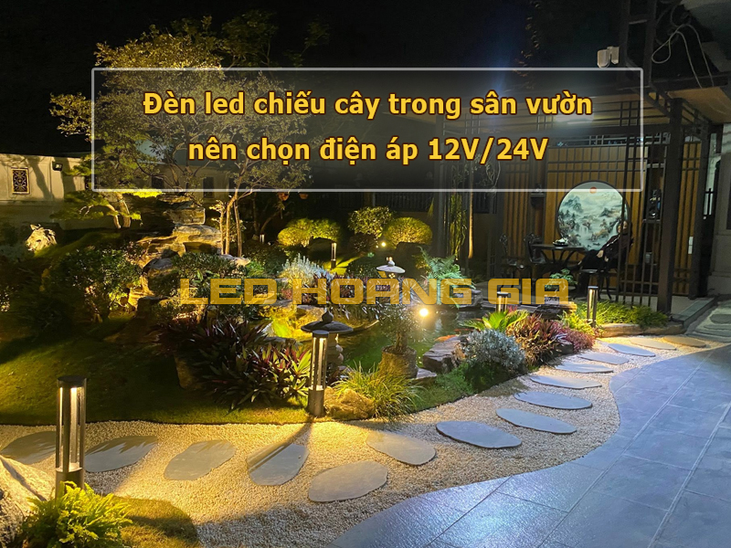 Đèn chiếu cây trong sân vườn nên chọn điện áp 12V hoặc 24V