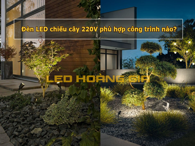 Đèn LED chiếu cây 220V phù hợp công trình nào?