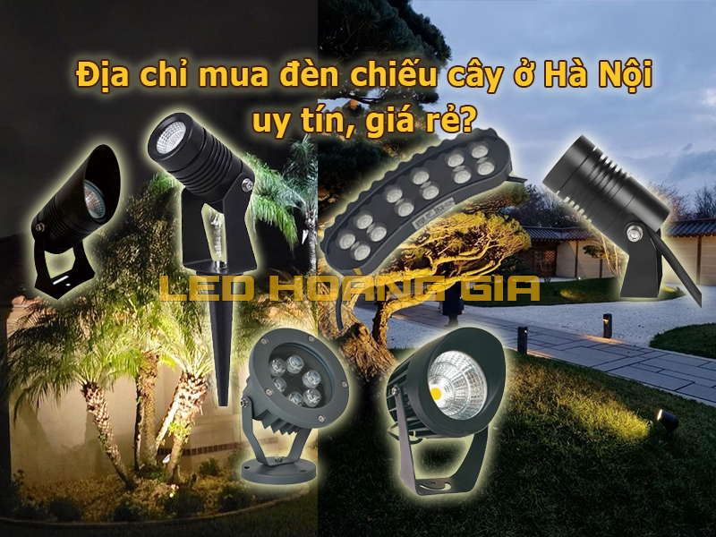 Địa chỉ mua đèn chiếu cây ở Hà Nội uy tín, giá rẻ?