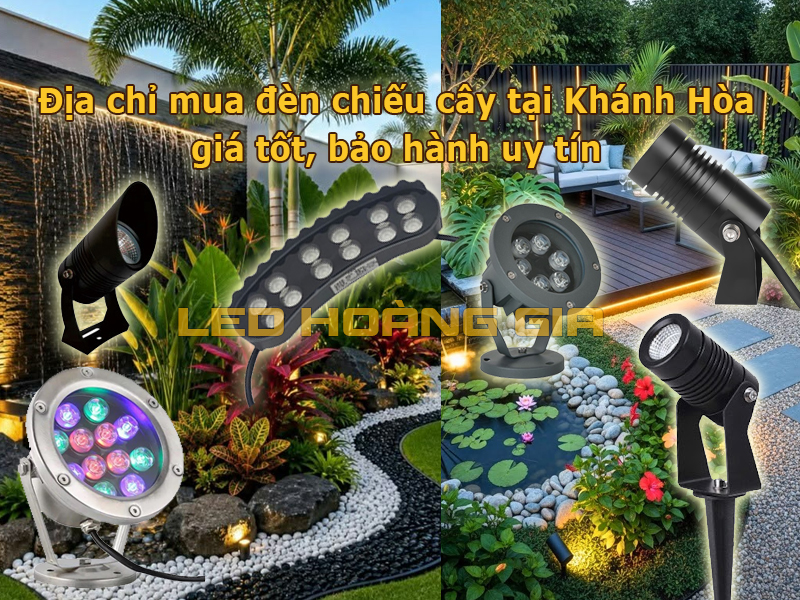 Đèn chiếu cây tại Khánh Hòa giá tốt, bảo hành uy tín