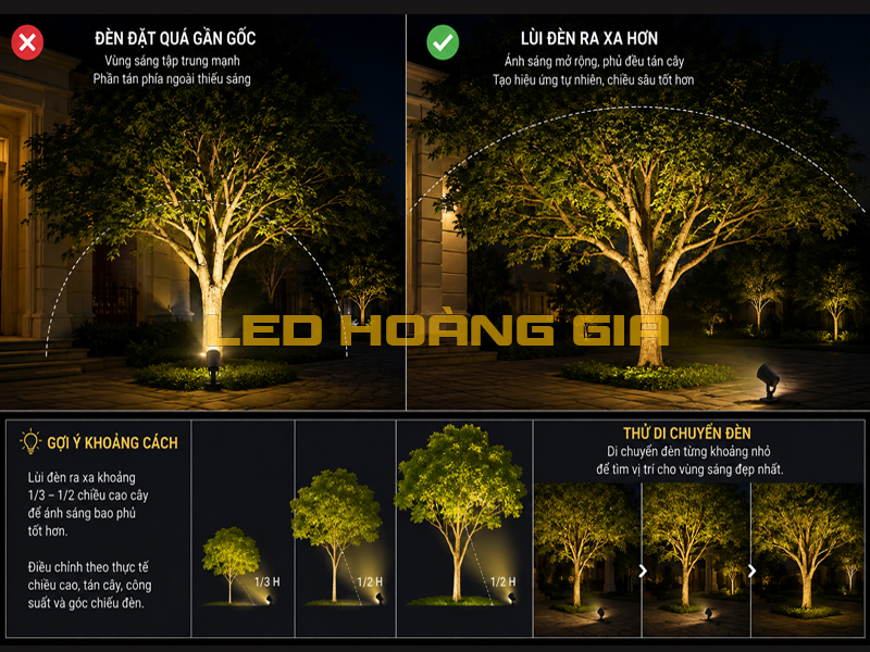 Điều chỉnh khoảng cách đèn và cây