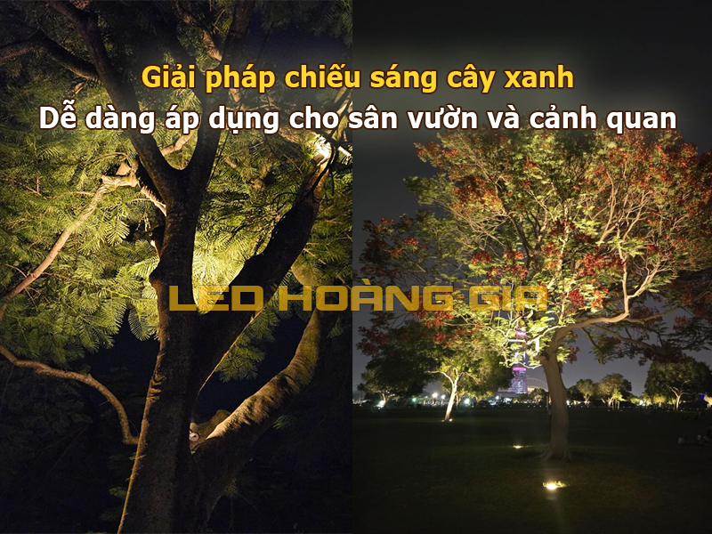 Giải pháp chiếu sáng cây xanh dễ dàng áp dụng cho sân vườn và cảnh quan