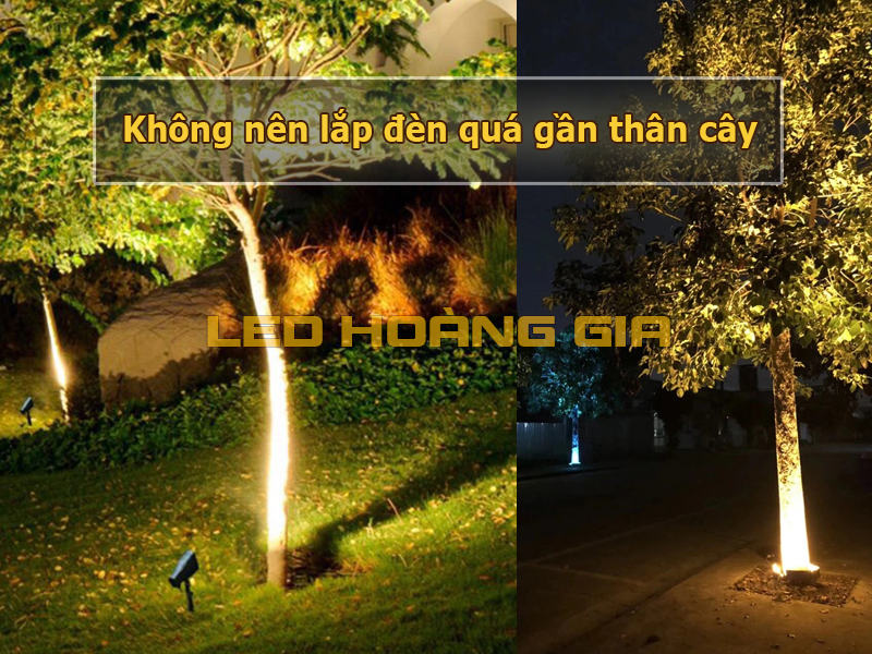 Không nên lắp đèn quá gần gốc cây khi muốn làm sáng tán lá