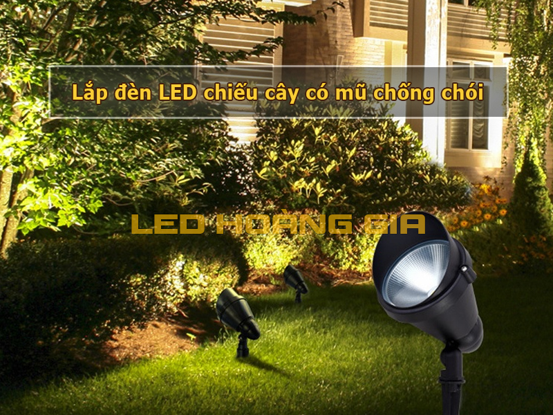 Lắp đèn chiếu cây có mũ chống chói