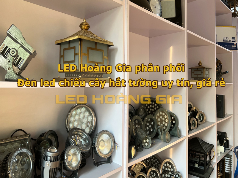 LED Hoàng Gia phân phối đa dạng các loại đèn led chiếu cây hắt tường