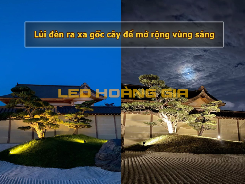 Lùi đèn khỏi gốc để mở rộng vùng sáng