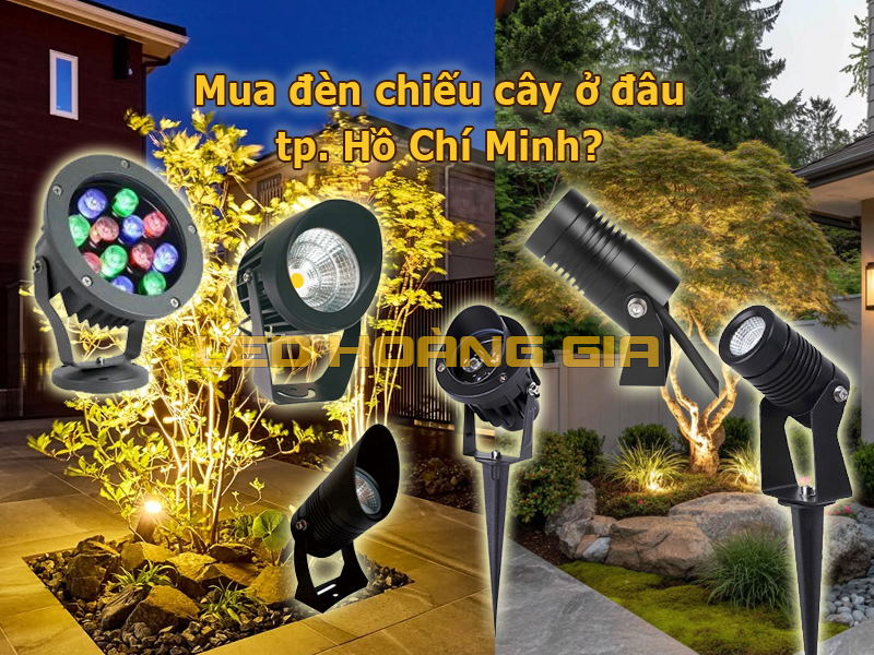 Mua đèn chiếu cây ở đâu Hồ Chí Minh?