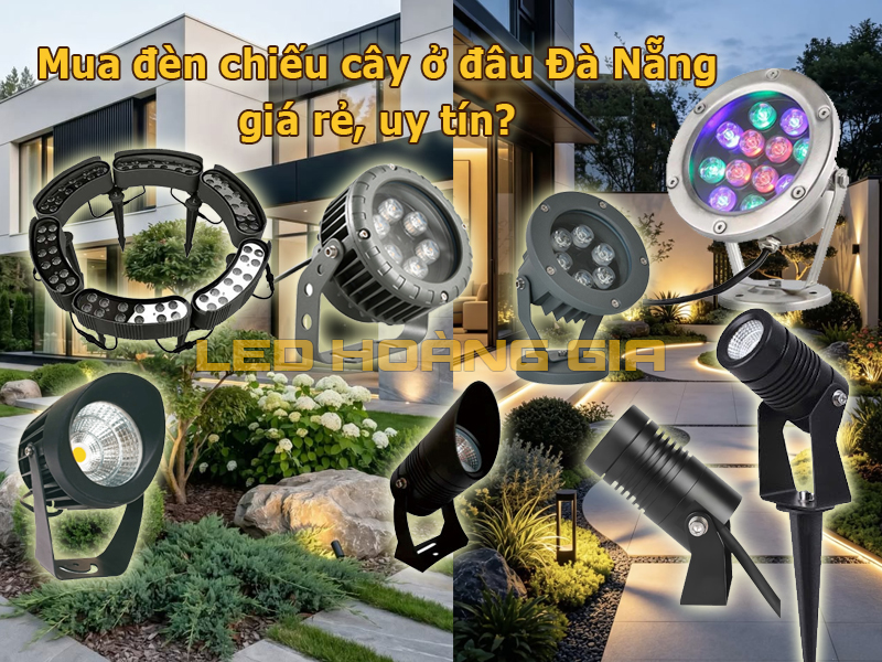 Mua đèn chiếu cây ở đâu Đà Nẵng giá rẻ, uy tín?