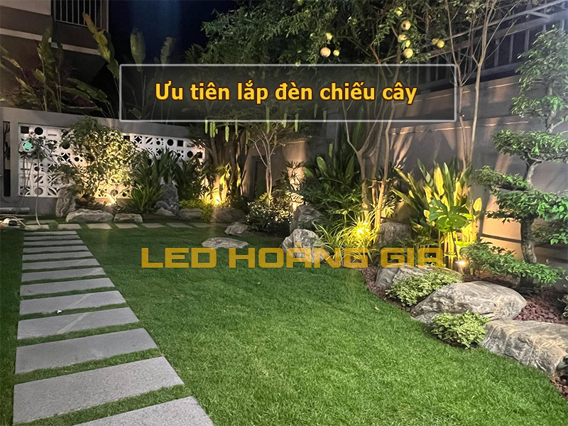 Ưu tiên lắp đèn chiếu cây