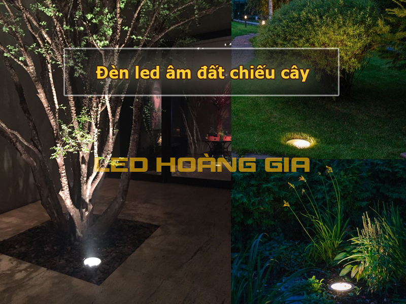 Đèn âm đất chiếu cây