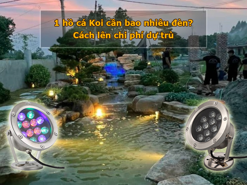 1 hồ cá Koi cần bao nhiêu đèn?