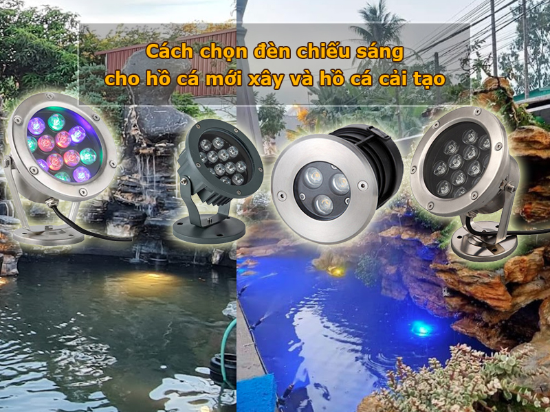 Cách chọn đèn chiếu sáng cho hồ cá mới xây và hồ cá cải tạo